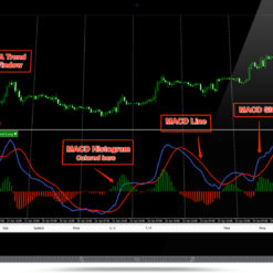 Quantina Advanced Macd Forex Indicator - 