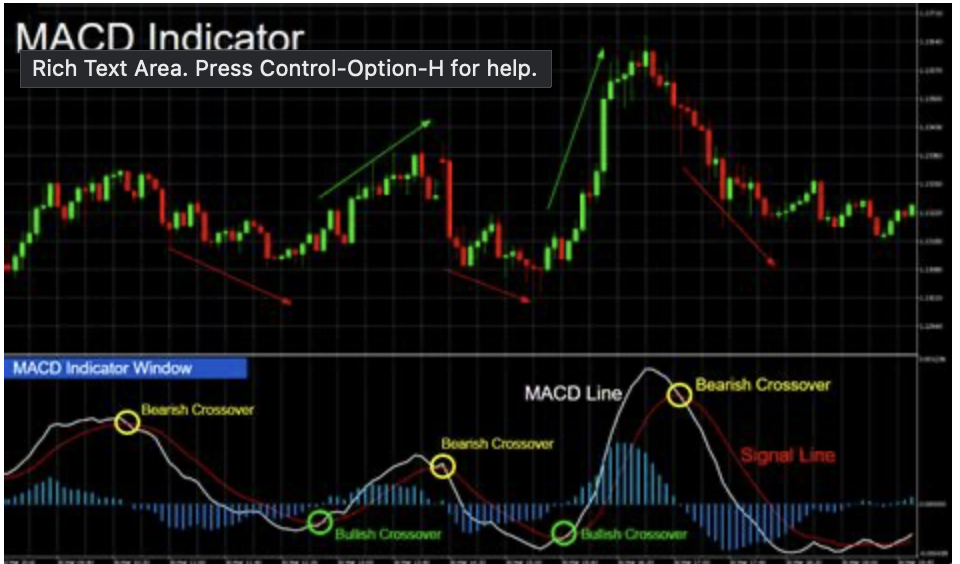MACD + 200 MA with exit point strategy trading