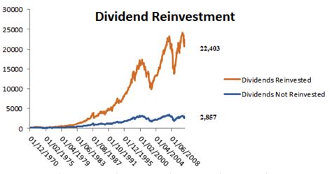 Dividend
